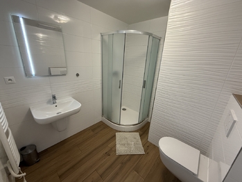 Pronájem bytu 1+kk v osobním vlastnictví 45 m², Plzeň