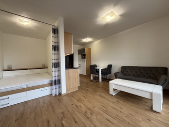 Pronájem bytu 1+kk v osobním vlastnictví 45 m², Plzeň