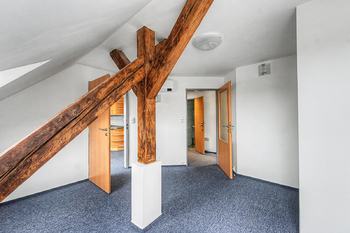 Prodej bytu 6 a více v osobním vlastnictví 149 m², Praha 6 - Dejvice