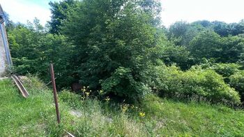 Prodej pozemku 3514 m², Chodová Planá