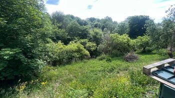 Prodej pozemku 3514 m², Chodová Planá
