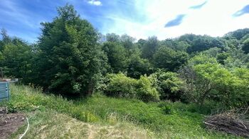 Prodej pozemku 3514 m², Chodová Planá