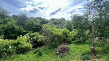 Prodej pozemku 3514 m², Chodová Planá