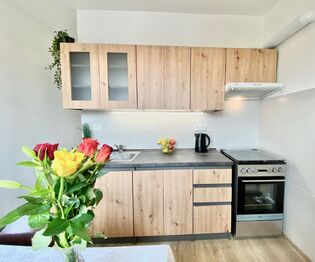 Pronájem bytu 2+1 v osobním vlastnictví 51 m², Pardubice