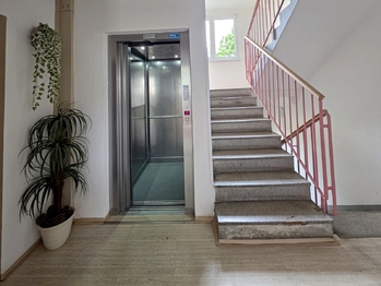 Pronájem bytu 3+1 v družstevním vlastnictví 68 m², Mohelnice