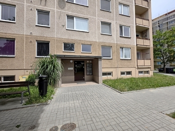 Pronájem bytu 3+1 v družstevním vlastnictví 68 m², Mohelnice
