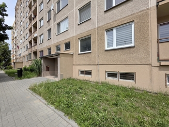 Pronájem bytu 3+1 v družstevním vlastnictví 68 m², Mohelnice