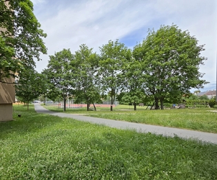 Pronájem bytu 3+1 v družstevním vlastnictví 68 m², Mohelnice