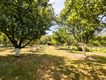 Prodej domu 83 m², Trstěnice