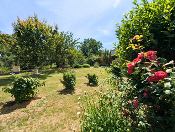 Prodej domu 83 m², Trstěnice