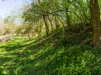 Prodej pozemku 1368 m², Tuklaty