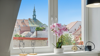 Pronájem bytu 4+kk v osobním vlastnictví 85 m², Česká Lípa