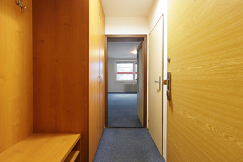Prodej bytu 1+kk v osobním vlastnictví 30 m², Praha 4 - Hodkovičky