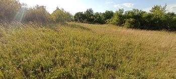 Prodej pozemku 730 m², Želešice