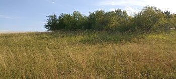 Prodej pozemku 730 m², Želešice