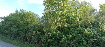 Prodej pozemku 730 m², Želešice