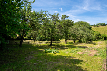 Prodej domu 171 m², Orlovice