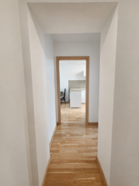 Pronájem bytu 1+1 v osobním vlastnictví 54 m², Praha 4 - Nusle