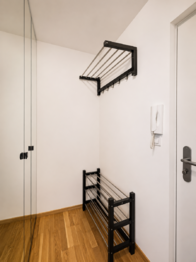 Pronájem bytu 1+1 v osobním vlastnictví 54 m², Praha 4 - Nusle