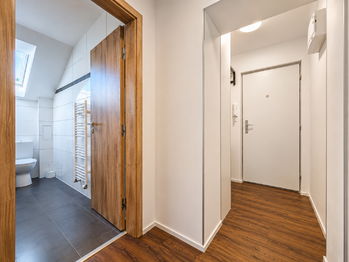 Pronájem bytu 1+1 v osobním vlastnictví 54 m², Praha 4 - Nusle