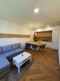 Pronájem bytu 2+kk v osobním vlastnictví 66 m², Praha 3 - Žižkov