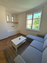 Pronájem bytu 2+kk v osobním vlastnictví 66 m², Praha 3 - Žižkov