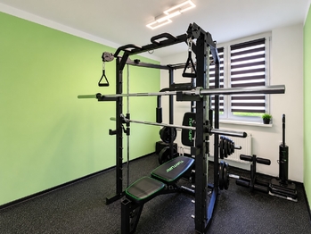 Pronájem bytu 3+kk v osobním vlastnictví 51 m², Meziboří