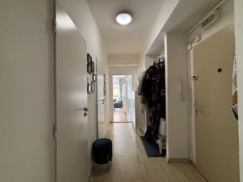 Prodej bytu 2+1 v osobním vlastnictví 60 m², Praha 3 - Vinohrady