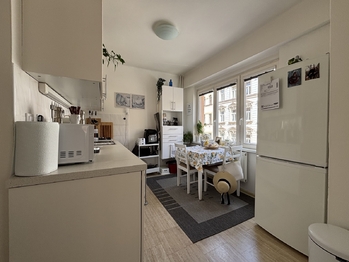 Prodej bytu 2+1 v osobním vlastnictví 60 m², Praha 3 - Vinohrady