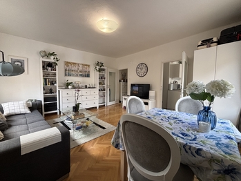 Prodej bytu 2+1 v osobním vlastnictví 60 m², Praha 3 - Vinohrady