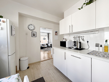 Prodej bytu 2+1 v osobním vlastnictví 60 m², Praha 3 - Vinohrady