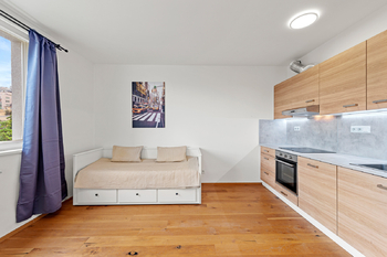 Pronájem bytu 1+kk v osobním vlastnictví 27 m², Praha 2 - Vinohrady