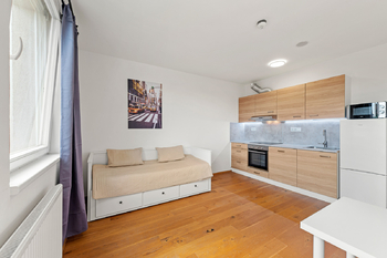 Pronájem bytu 1+kk v osobním vlastnictví 27 m², Praha 2 - Vinohrady