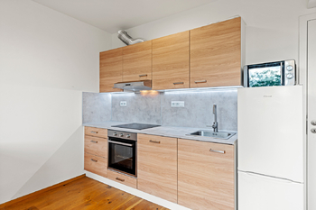Pronájem bytu 1+kk v osobním vlastnictví 27 m², Praha 2 - Vinohrady