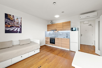 Pronájem bytu 1+kk v osobním vlastnictví 27 m², Praha 2 - Vinohrady