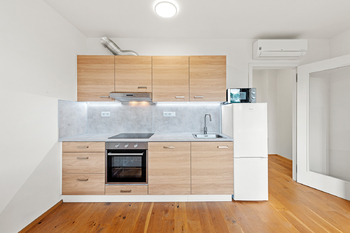 Pronájem bytu 1+kk v osobním vlastnictví 27 m², Praha 2 - Vinohrady