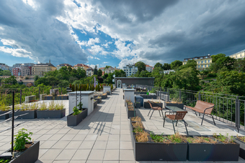 Pronájem bytu 1+kk v osobním vlastnictví 27 m², Praha 2 - Vinohrady