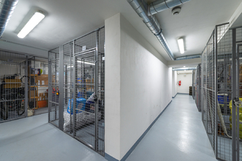 Pronájem bytu 1+kk v osobním vlastnictví 27 m², Praha 2 - Vinohrady