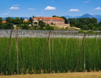 Prodej domu 512 m², Zálužice