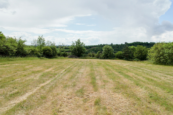 Prodej pozemku 4523 m², Hoštka