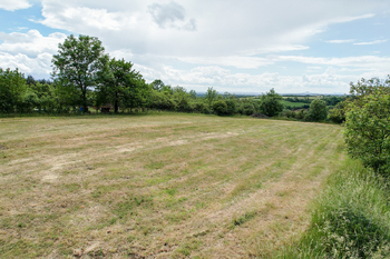 Prodej pozemku 4523 m², Hoštka