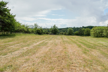 Prodej pozemku 4523 m², Hoštka