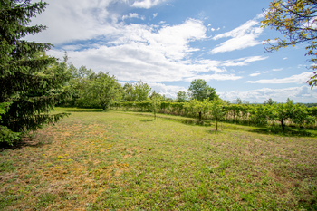 Prodej pozemku 4523 m², Hoštka