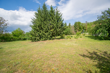 Prodej pozemku 4523 m², Hoštka