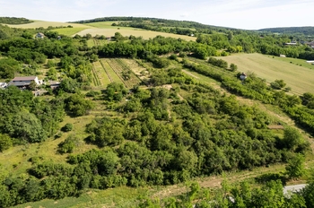 Prodej pozemku 2403 m², Moravské Bránice