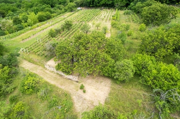 Prodej pozemku 2403 m², Moravské Bránice