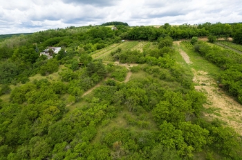 Prodej pozemku 2403 m², Moravské Bránice