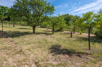 Prodej pozemku 2403 m², Moravské Bránice