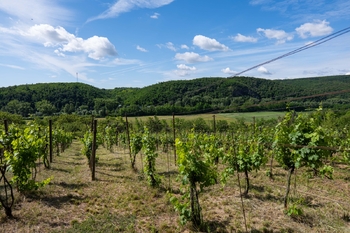Prodej pozemku 2403 m², Moravské Bránice