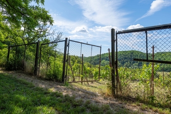 Prodej pozemku 2403 m², Moravské Bránice